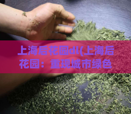 上海后花园dl(上海后花园：重现城市绿色魅力)  第1张