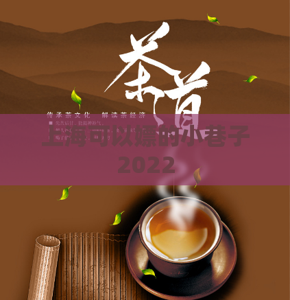 上海可以嫖的小巷子2022  第1张