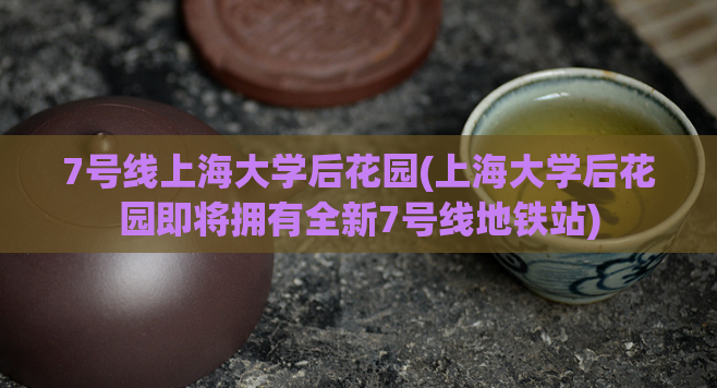 7号线上海大学后花园(上海大学后花园即将拥有全新7号线地铁站)  第1张