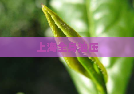 上海全身油压  第1张