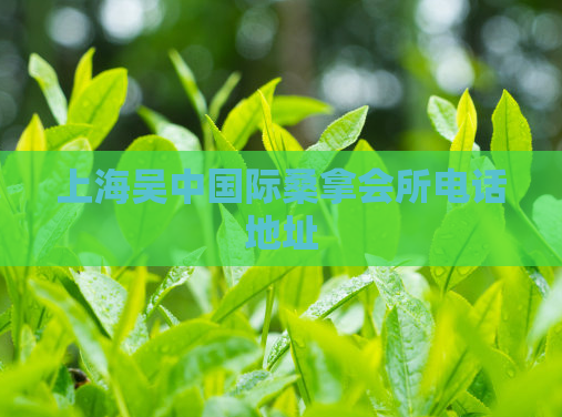 上海吴中国际桑拿会所电话地址  第1张