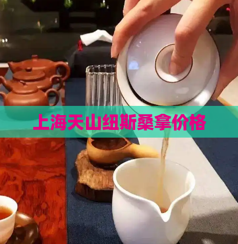 上海天山纽斯桑拿价格  第1张