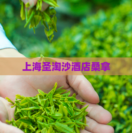 上海圣淘沙酒店桑拿  第1张