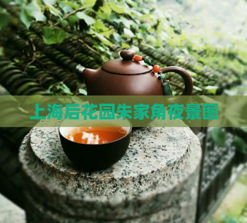 上海后花园朱家角夜景图  第1张