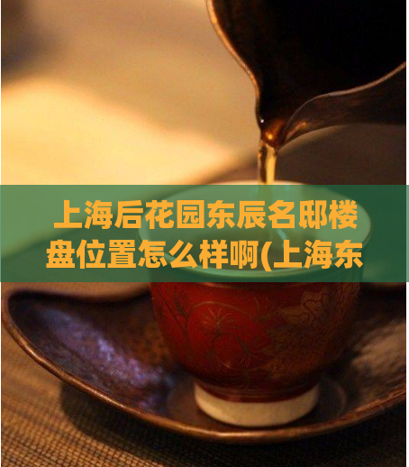 上海后花园东辰名邸楼盘位置怎么样啊(上海东辰名邸楼盘位置分析及评测)  第1张
