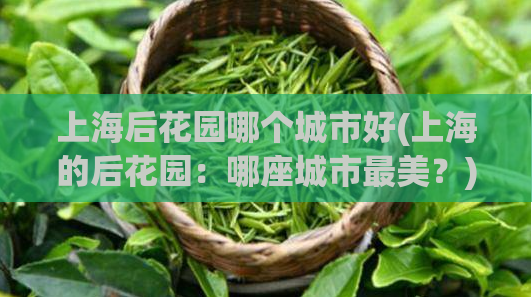 上海后花园哪个城市好(上海的后花园：哪座城市最美？)  第1张