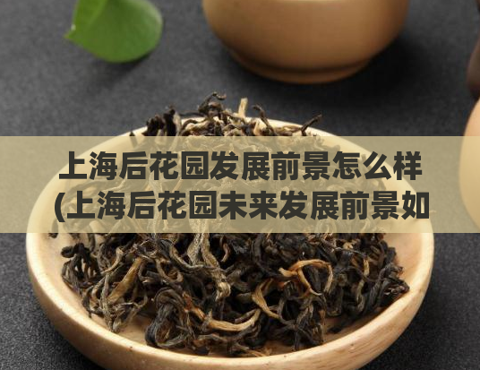 上海后花园发展前景怎么样(上海后花园未来发展前景如何？)  第1张