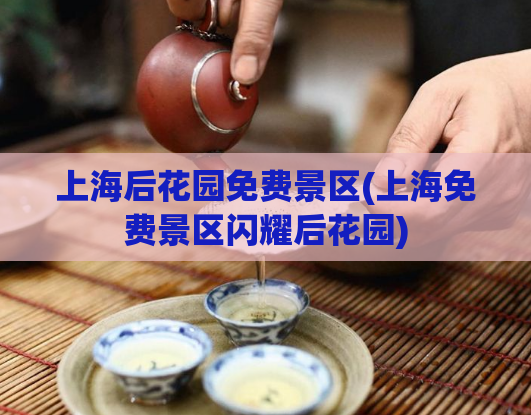 上海后花园免费景区(上海免费景区闪耀后花园)  第1张