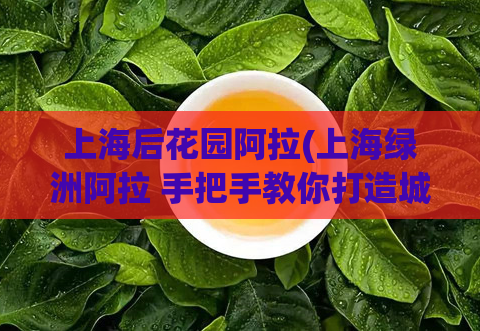 上海后花园阿拉(上海绿洲阿拉 手把手教你打造城市绿色后花园)  第1张