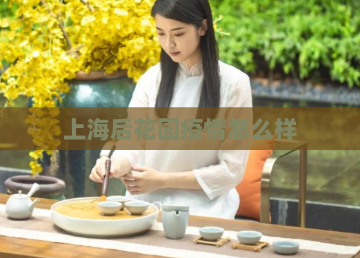 上海后花园疫情怎么样  第1张