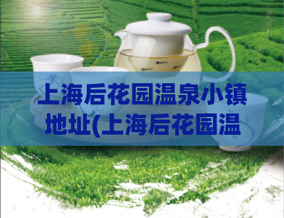 上海后花园温泉小镇地址(上海后花园温泉小镇所在地)  第1张