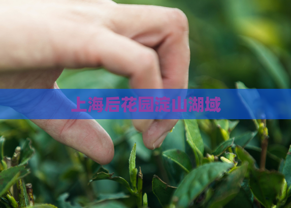 上海后花园淀山湖域  第1张