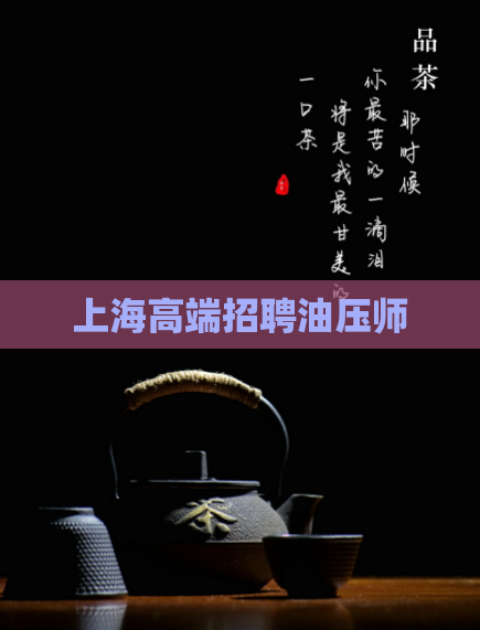 上海高端招聘油压师  第1张