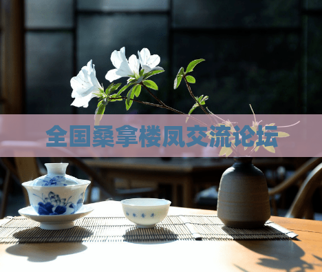全国桑拿楼凤交流论坛  第1张