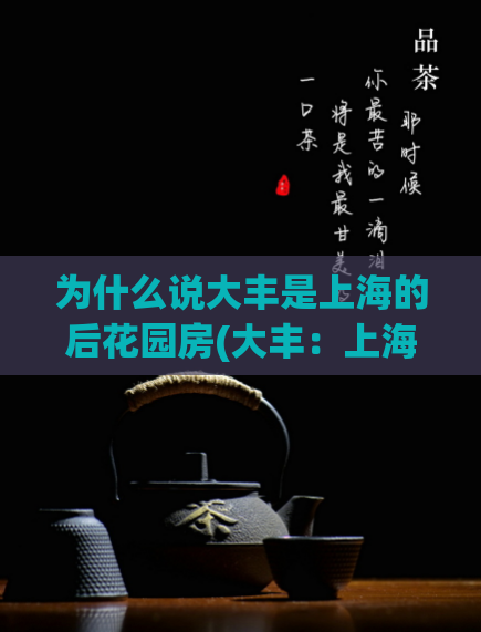 为什么说大丰是上海的后花园房(大丰：上海市区周边的宜居后花园)  第1张