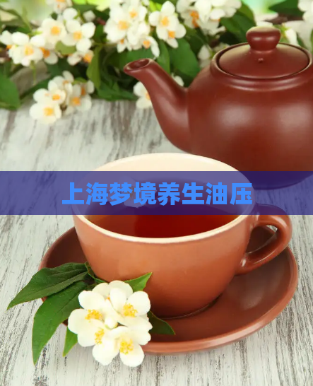 上海梦境养生油压  第1张