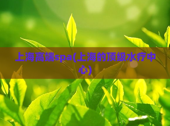 上海高端spa(上海的顶级水疗中心)  第1张