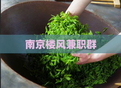 南京楼风兼职群  第1张