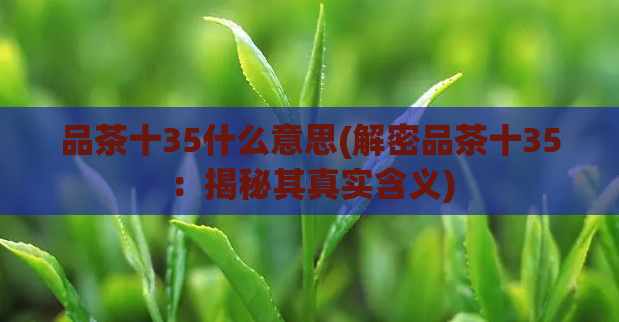品茶十35什么意思(解密品茶十35：揭秘其真实含义)  第1张