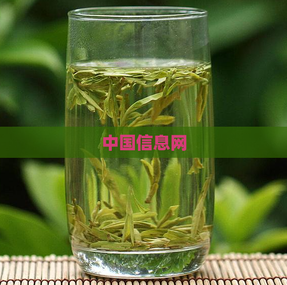 中国信息网  第1张