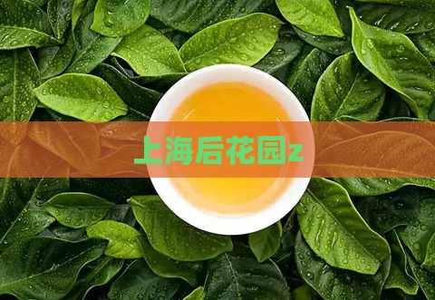 上海后花园z  第1张