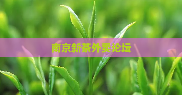南京新茶外卖论坛  第1张