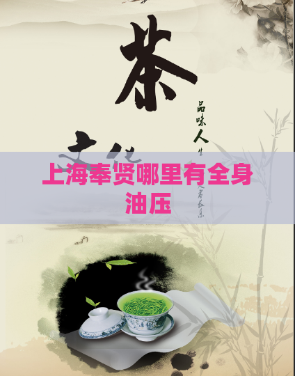 上海奉贤哪里有全身油压  第1张