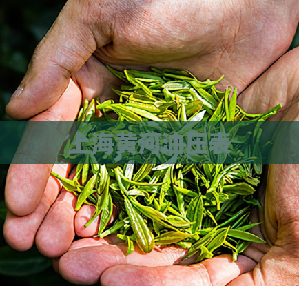 上海黄河油压表  第1张
