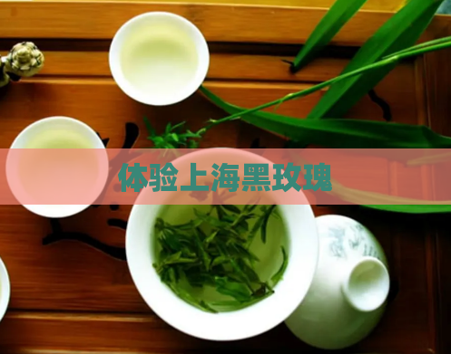体验上海黑玫瑰  第1张