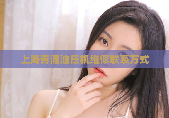 上海青浦油压机维修联系方式  第1张