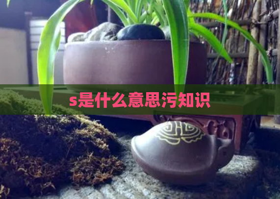 s是什么意思污知识  第1张