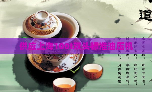 供应上海100t双头标准油压机  第1张
