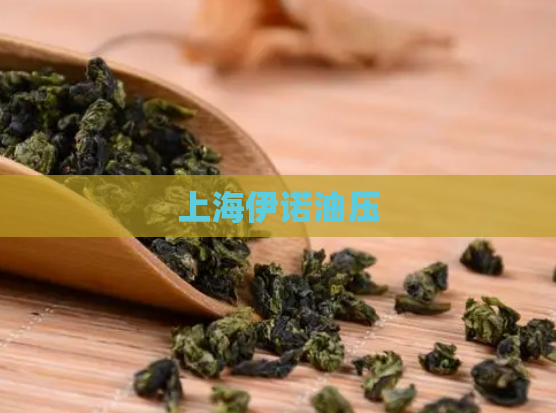 上海伊诺油压  第1张