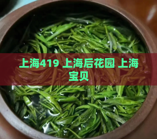 上海419 上海后花园 上海宝贝  第1张