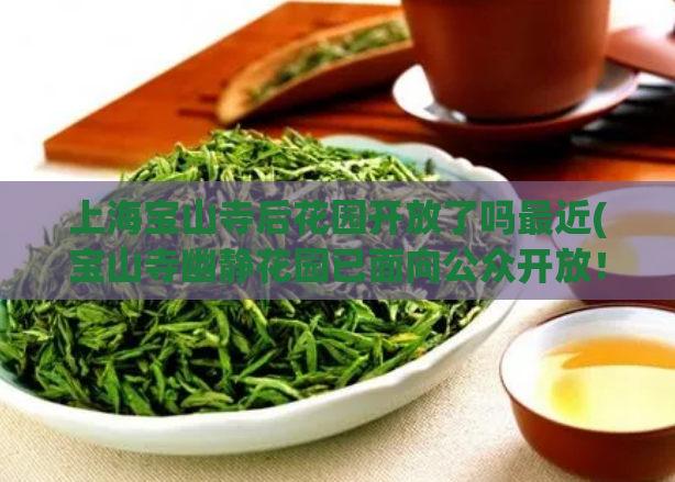 上海宝山寺后花园开放了吗最近(宝山寺幽静花园已面向公众开放！)  第1张