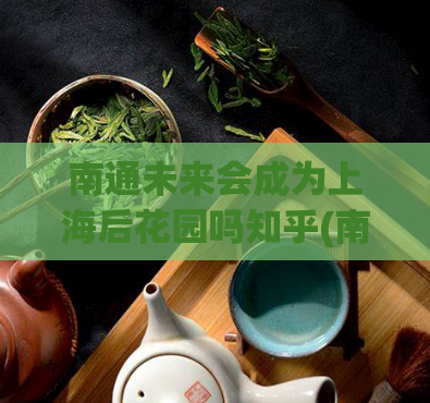 南通未来会成为上海后花园吗知乎(南通：未来上海后花园？)  第1张