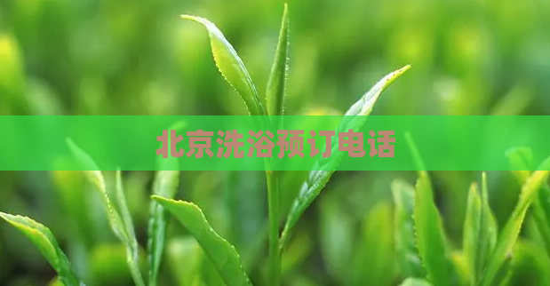 北京洗浴预订电话 第1张 北京洗浴预订电话 第1张