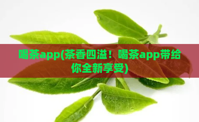 喝茶app(茶香四溢！喝茶app带给你全新享受)  第1张