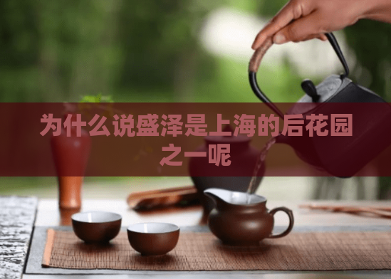 为什么说盛泽是上海的后花园之一呢  第1张