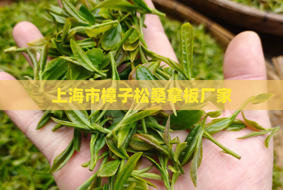 上海市樟子松桑拿板厂家  第1张