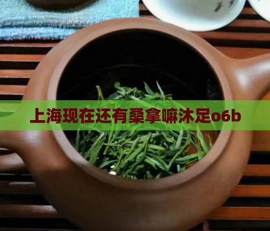 上海现在还有桑拿嘛沐足o6b  第1张
