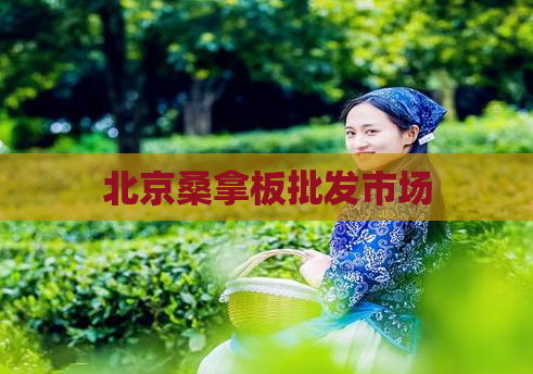北京桑拿板批发市场  第1张