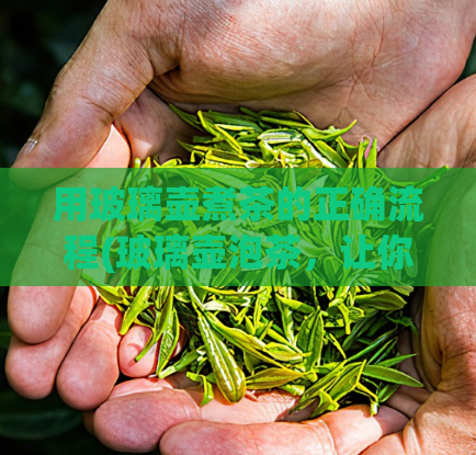 用玻璃壶煮茶的正确流程(玻璃壶泡茶，让你喝到最纯粹的清香)  第1张