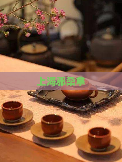 上海邪桑拿 第1张 上海邪桑拿 第1张