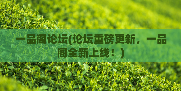 一品阁论坛(论坛重磅更新,一品阁全新上线!) 第1张 一品阁论坛(论坛重磅更新,一品阁全新上线!) 第1张