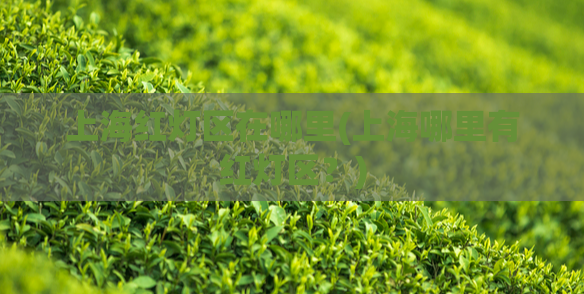 上海红灯区在哪里(上海哪里有红灯区?) 第1张 上海红灯区在哪里(上海哪里有红灯区?) 第1张