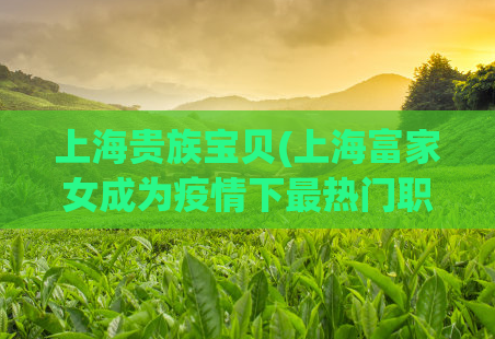 上海贵族宝贝(上海富家女成为疫情下最热门职业) 第1张 上海贵族宝贝(上海富家女成为疫情下最热门职业) 第1张