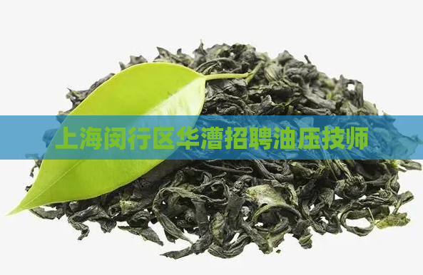 上海闵行区华漕招聘油压技师 第1张 上海闵行区华漕招聘油压技师 第1张