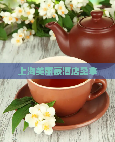 上海美丽豪酒店桑拿 第1张 上海美丽豪酒店桑拿 第1张