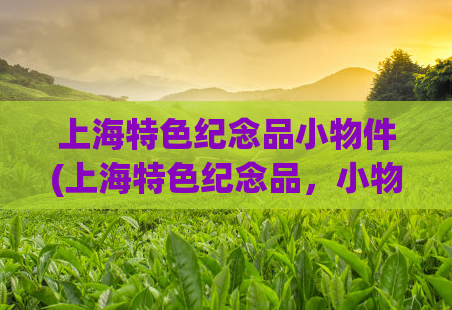 上海特色纪念品小物件(上海特色纪念品,小物见闻) 第1张 上海特色纪念品小物件(上海特色纪念品,小物见闻) 第1张